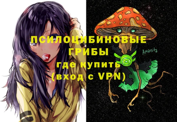 гидра Аркадак