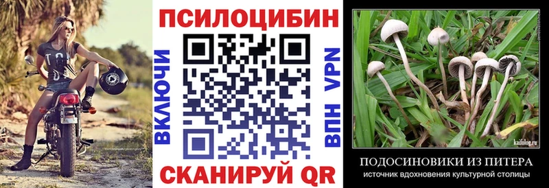 Псилоцибиновые грибы GOLDEN TEACHER Покачи