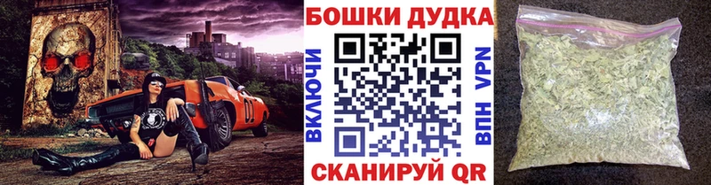 Канабис план Покачи